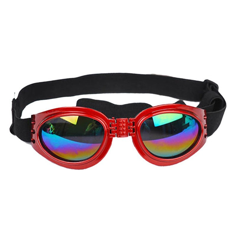 Dog, Cat, Sunglasses