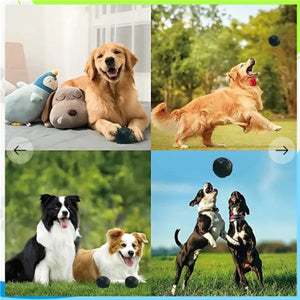 Food Ball Bite Resistant Toy Puzzle