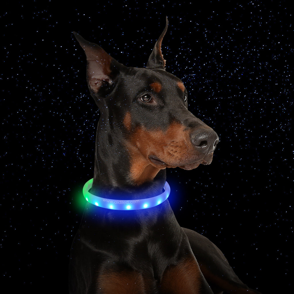 Flash Collar- USB Charging Anti-Lost Silicone Necklace