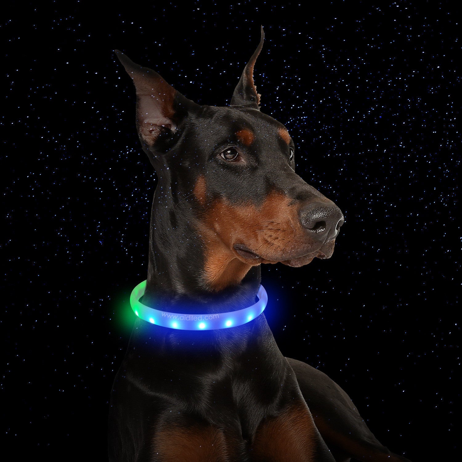 Flash Collar- USB Charging Anti-Lost Silicone Necklace