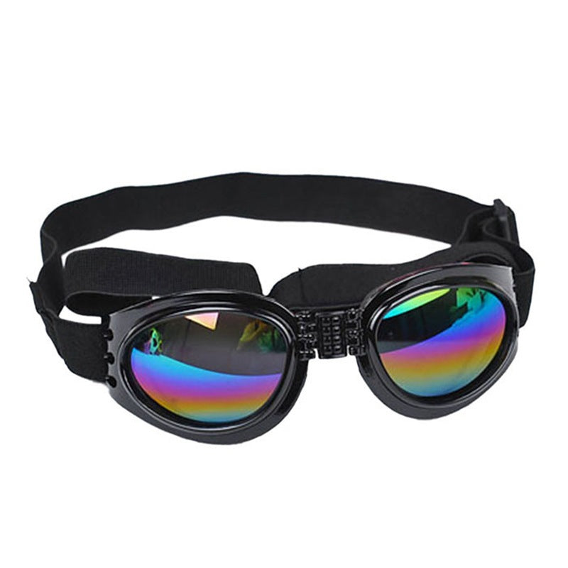 Dog, Cat, Sunglasses