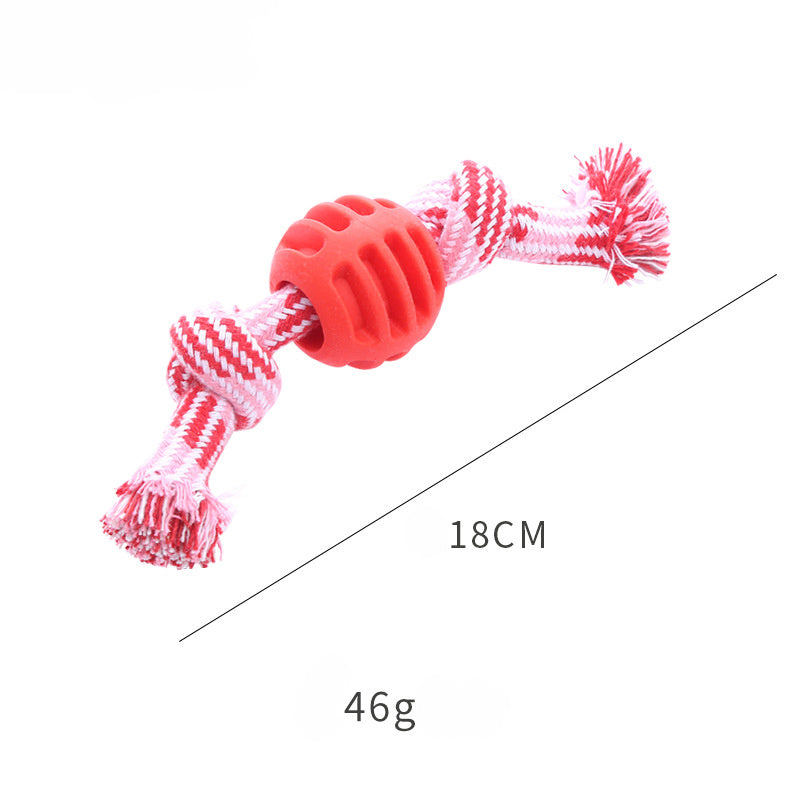 Chew Toys Molar With Ropes