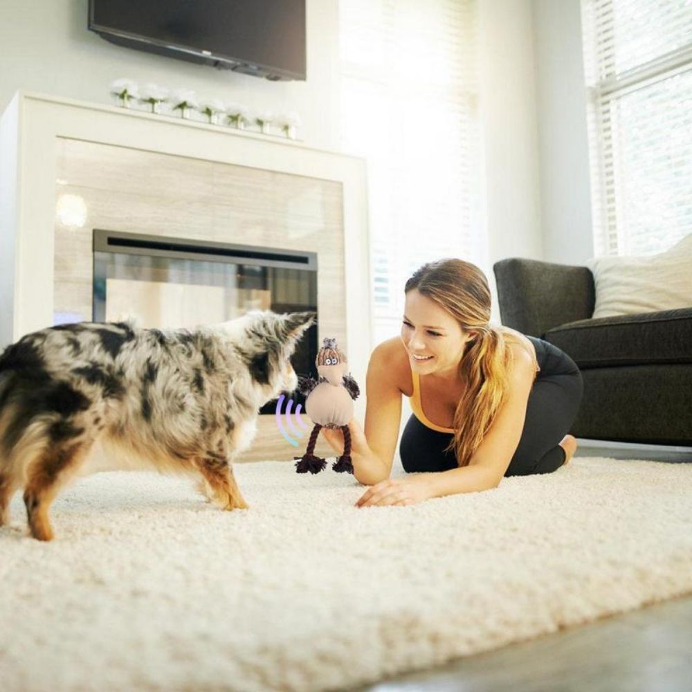 Stuffless Plush Toys For Aggressive Chewers Dog