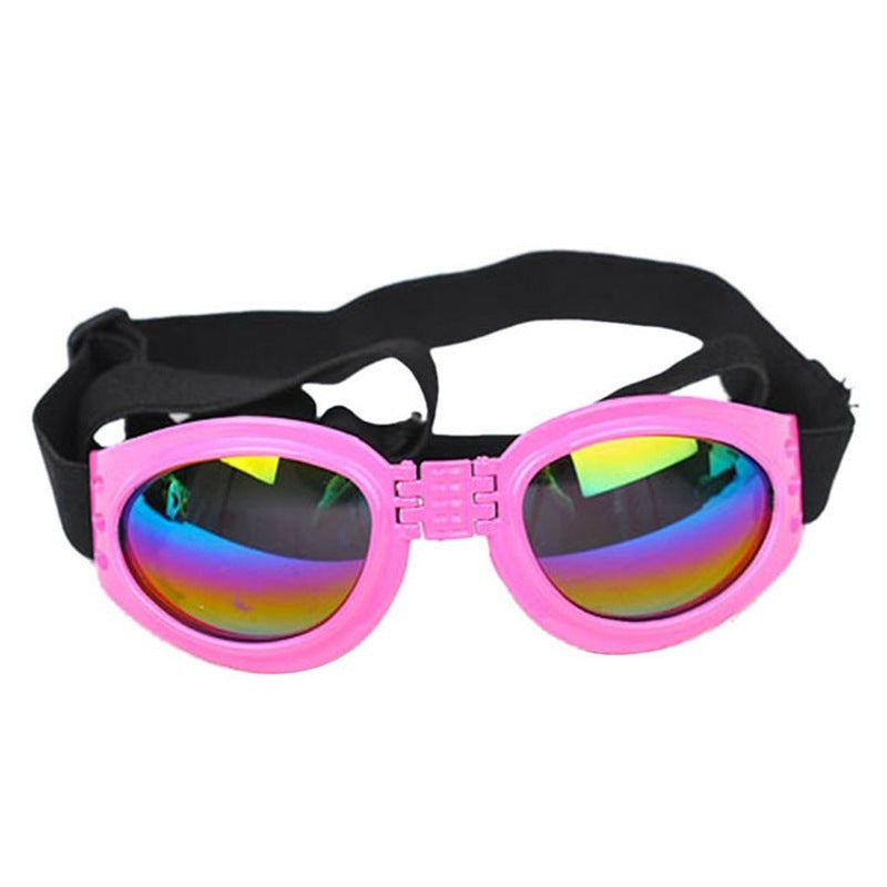Dog, Cat, Sunglasses