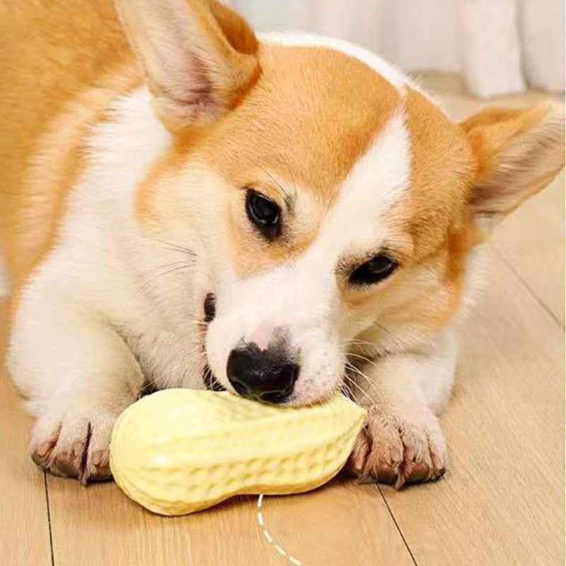 Dog Chewing Toy Simulation Peanut Squeaking