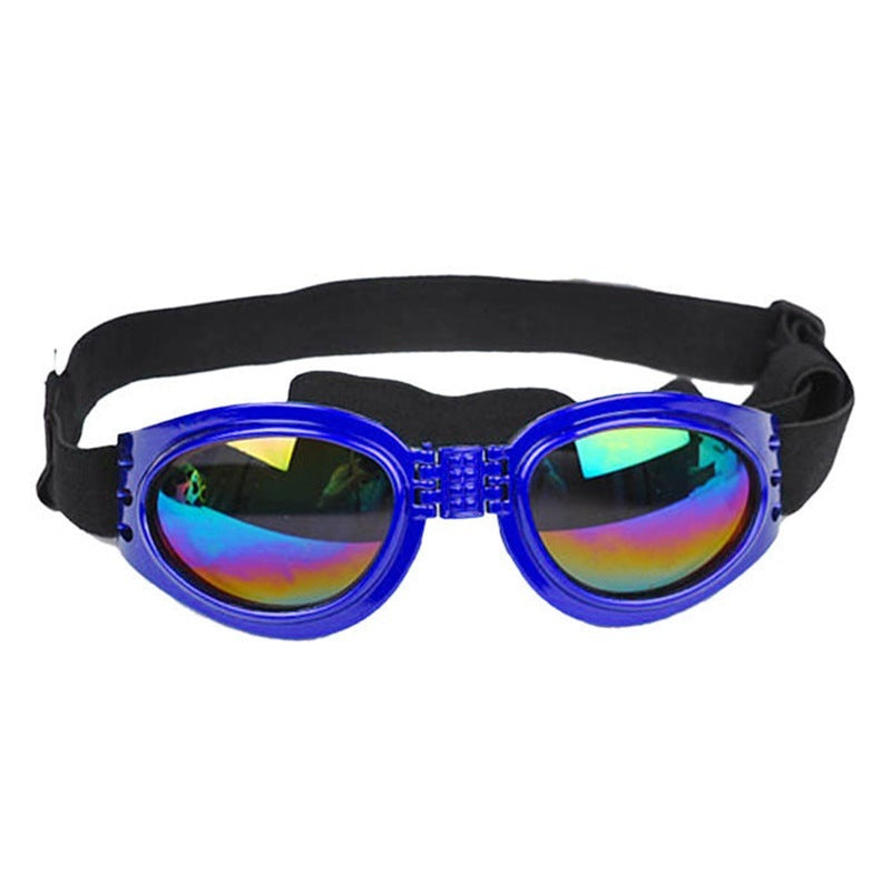 Dog, Cat, Sunglasses