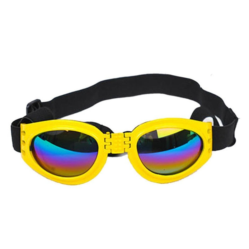 Dog, Cat, Sunglasses