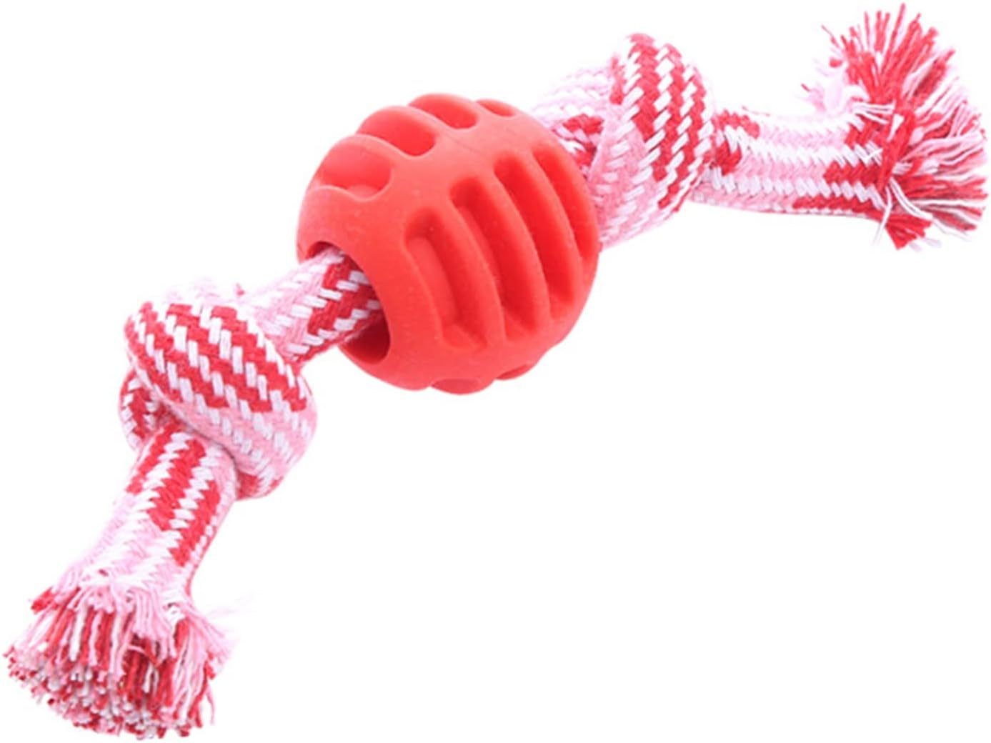 Chew Toys Molar With Ropes