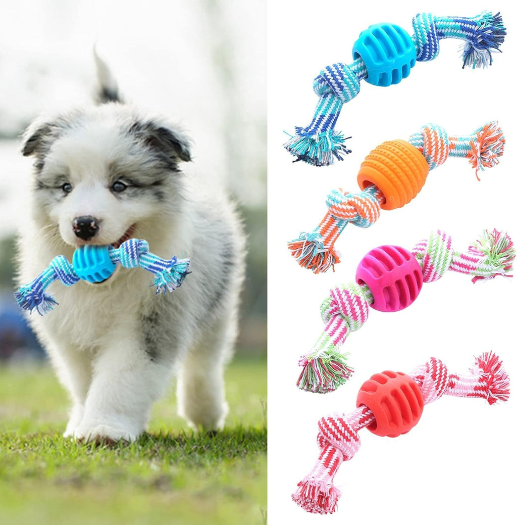 Chew Toys Molar With Ropes