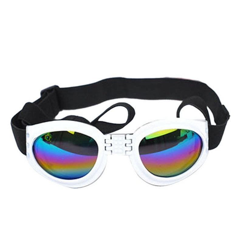Dog, Cat, Sunglasses