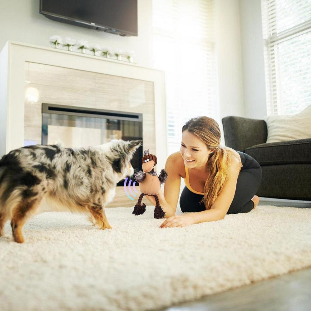 Stuffless Plush Toys For Aggressive Chewers Dog