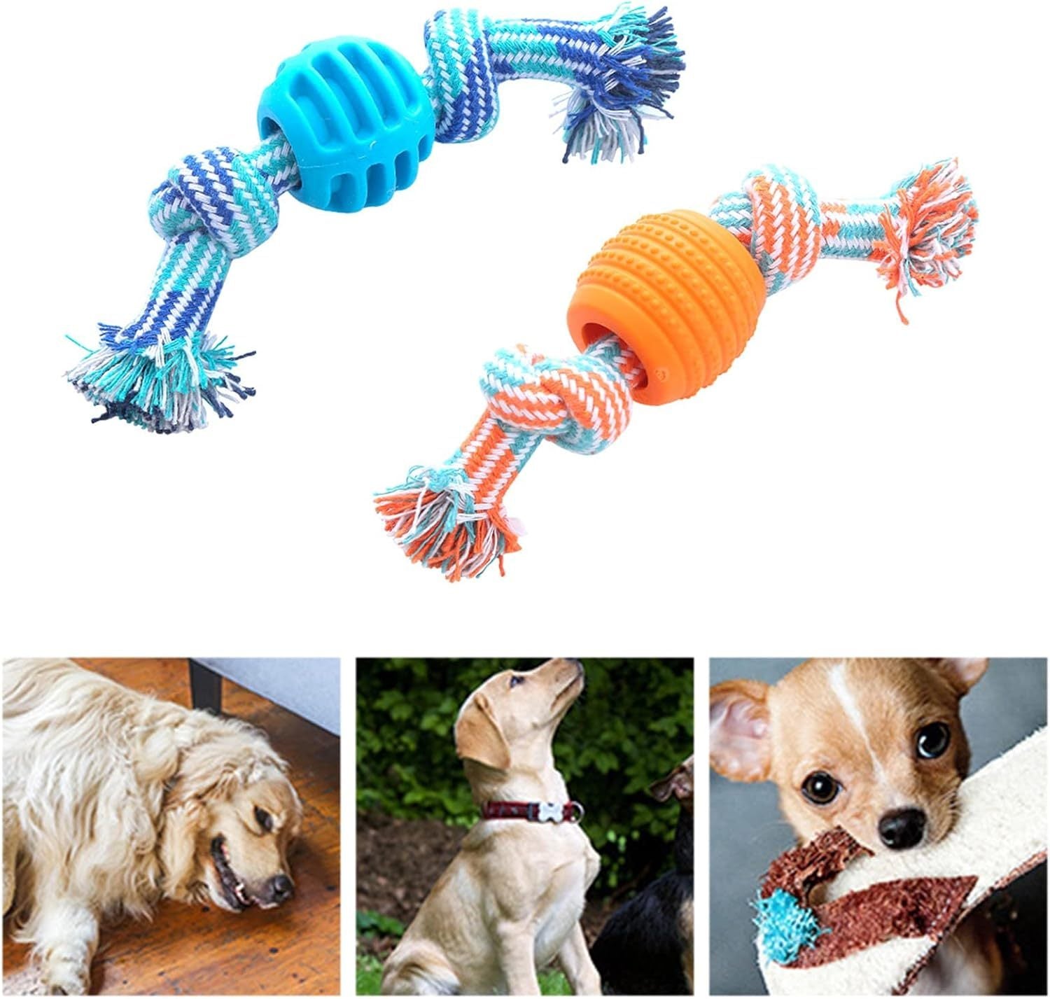 Chew Toys Molar With Ropes