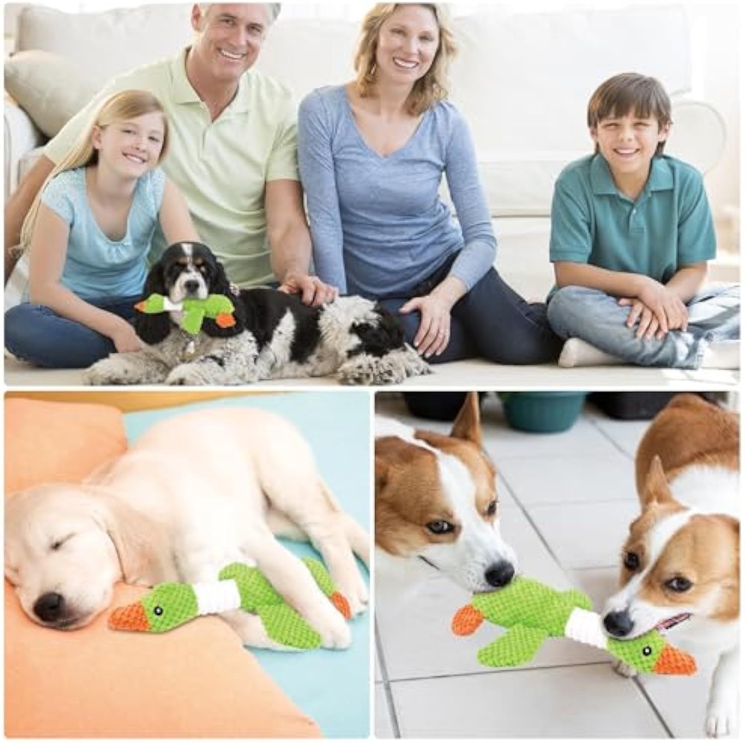 Plush Toys For Large Dog