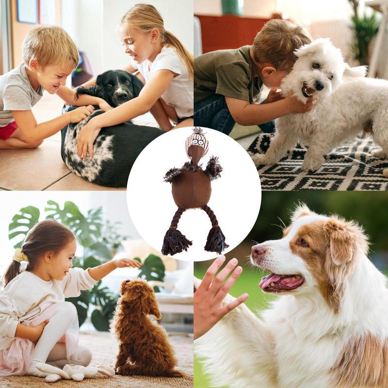 Stuffless Plush Toys For Aggressive Chewers Dog