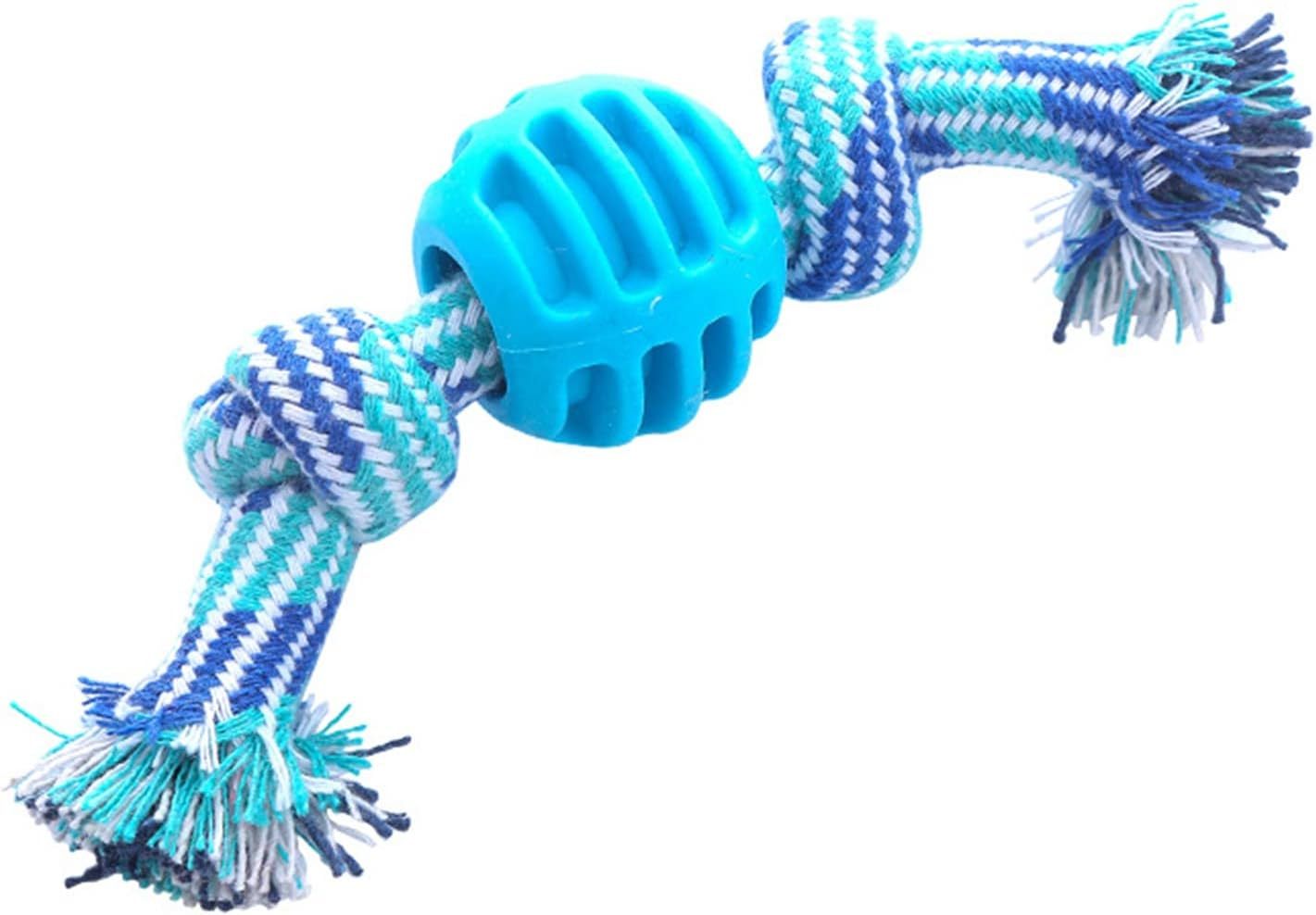 Chew Toys Molar With Ropes